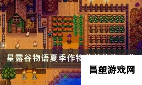 星露谷物语夏季农作物介绍：探索夏季作物收益价格奥秘