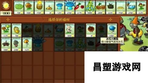 植物大战僵尸杂交版冒险模式第16关-策略解析与通关技巧